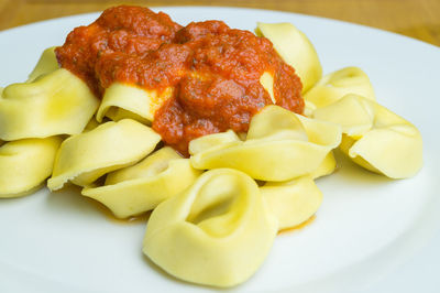 Close-up of tortellini with sauce serving in white plate