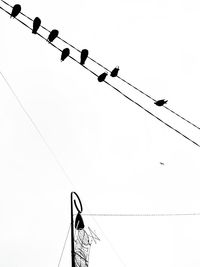 Low angle view of power cables against clear sky