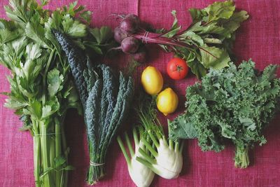 High angle view of various vegetables