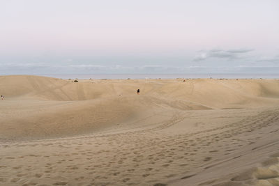 land