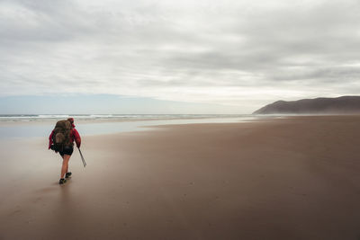 Rear view of man on beach against sky