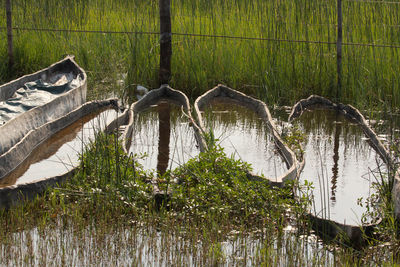 View of birds in lake