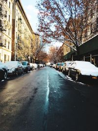 Road amidst bare trees in city