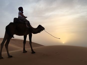 Woman riding camel at desert during sunset