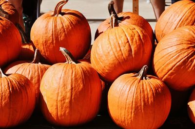 Close-up of pumpkins