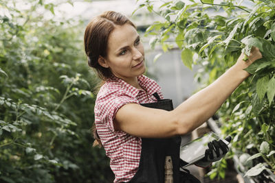 Gardener holding digital tablet while examining leaves of plants growing in greenhouse