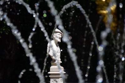 Close-up of statue against trees