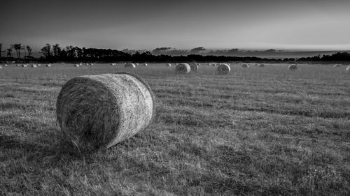 Hay bales on field against sky