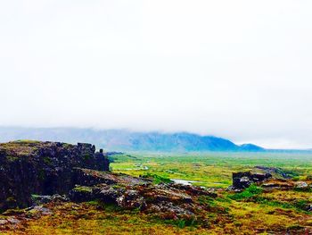 landscape