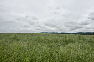 Scenic view of grassy field against cloudy sky