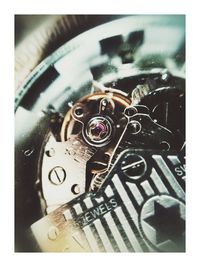 Close up of plant against blurred background