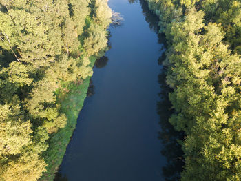 High angle view of river amidst trees