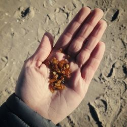 Close-up of hand holding sand on beach