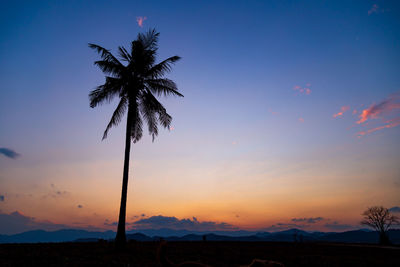 Low angle view of palm tree against sky during sunset