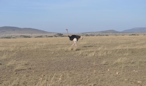 Man standing in a field