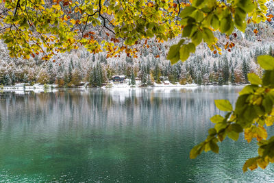 Scenic view of lake by trees during autumn