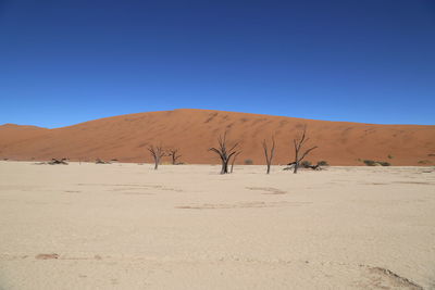 Scenic view of desert against clear blue sky