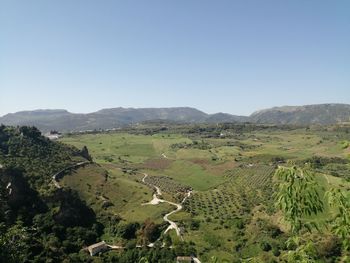 Scenic view of landscape against clear sky