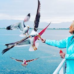 Low angle view of seagulls flying over sea against sky