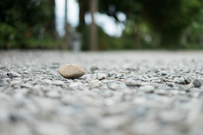 Surface level of stones on road