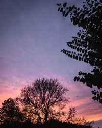 Low angle view of silhouette trees against sky at sunset