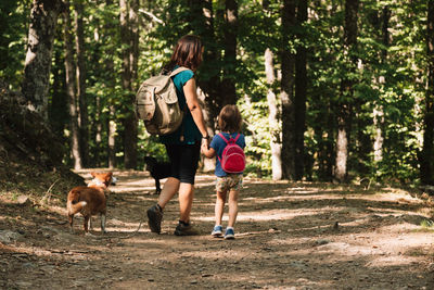 Mother and daughter with dogs hiking in forest