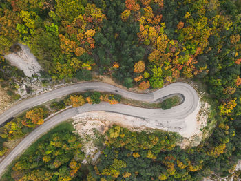 Aerial view of a winding road from a high mountain pass through a dense colorful autumn forest.