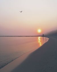 Scenic view of lakeshore during sunset