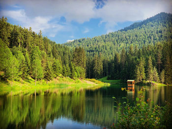 Scenic view of lake by trees against sky