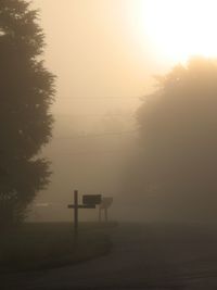 View of fog covered road