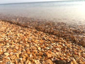 Close-up of pebbles on beach