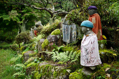 Rear view of woman with arms raised in forest