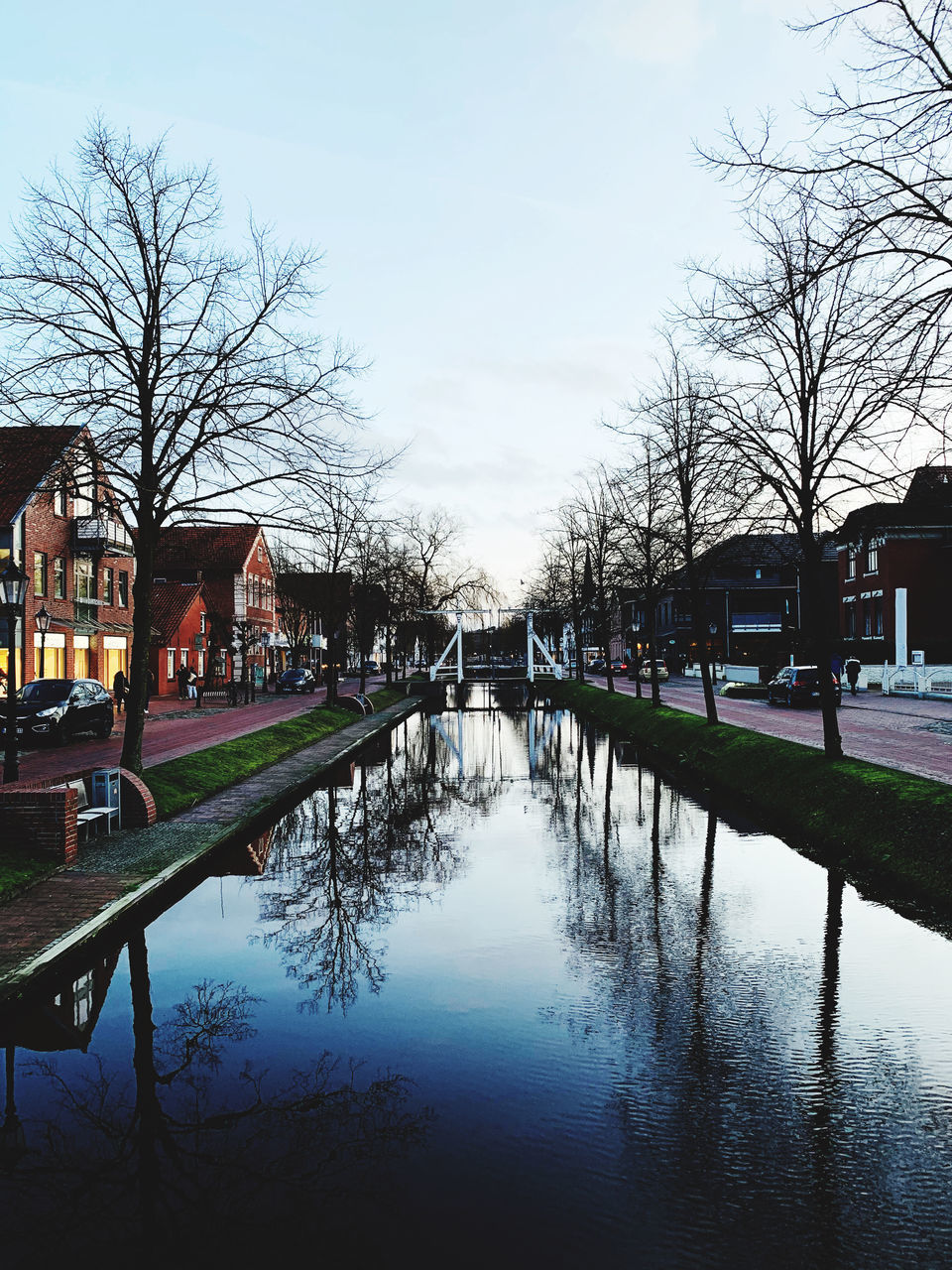 REFLECTION OF BARE TREES IN CANAL AGAINST SKY