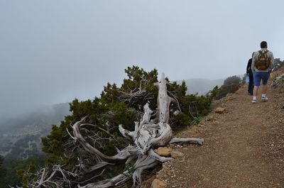 Rear view of man on mountain against sky