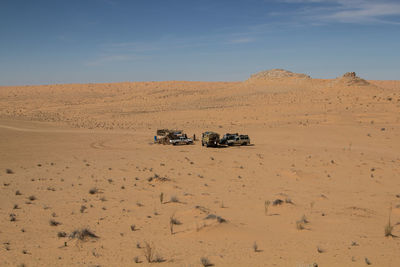 Scenic view of desert