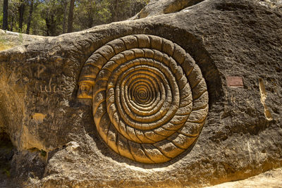 Close-up of a rock