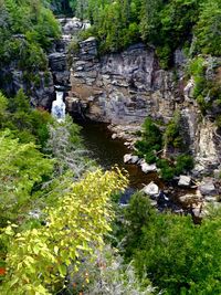 Stream flowing through rocks