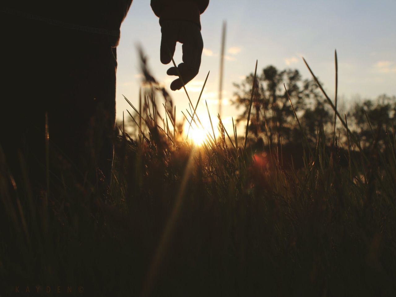 low section, lifestyles, silhouette, person, men, leisure activity, standing, sunset, unrecognizable person, sky, field, shoe, walking, sunlight, outdoors, nature, sun