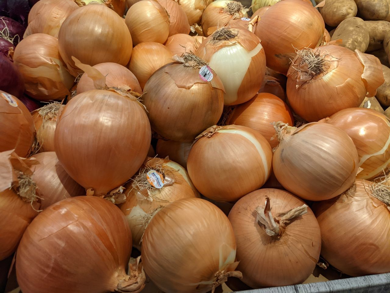 HIGH ANGLE VIEW OF PUMPKINS FOR SALE AT MARKET