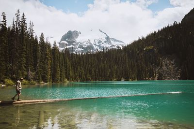 Man walking on log amidst lake against trees