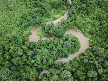 Guang river in long beleh haloq, east kalimantan