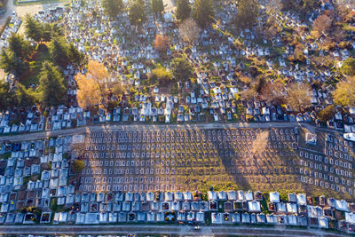 High angle view of trees in city during autumn