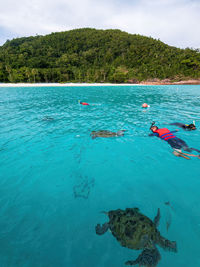 Snorkeling together with the turtles in pulau redang.