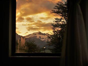 Silhouette trees against sky seen through window during sunset