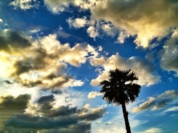 Low angle view of trees against cloudy sky