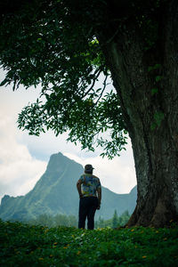 Rear view of man standing on mountain