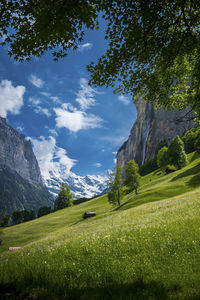 Scenic view of field against sky