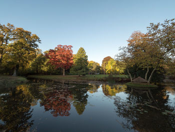 Reflection of trees in lake against clear sky