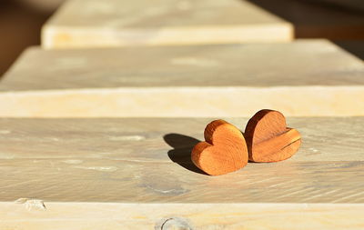 Close-up of leaf on table