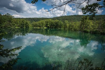 Scenic view of lake by trees against sky